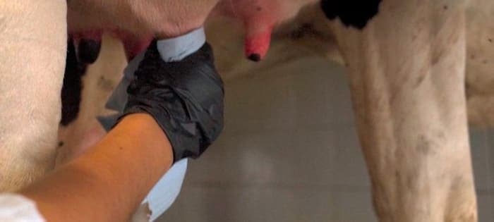 Experiencias Sa Roqueta